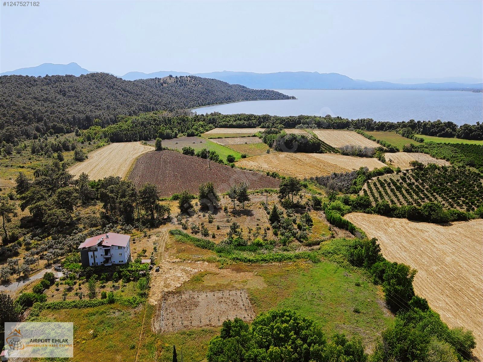 Muğla - Köyceğiz Zeytinalanı'nda Göle Yürüme Mesafesinde Arsa - MUĞLA KÖYCEĞİZ fotoğraf 3